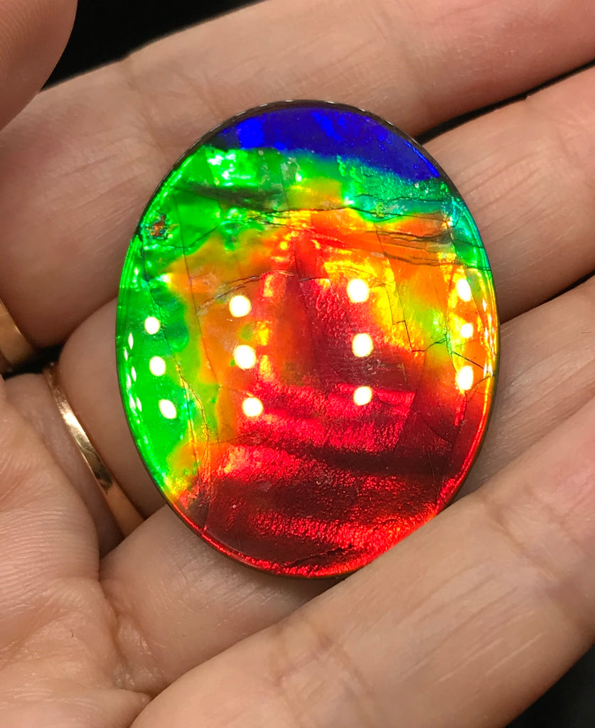 What is Ammolite?