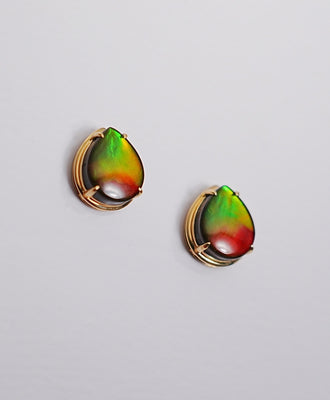 Ammolite Earrings