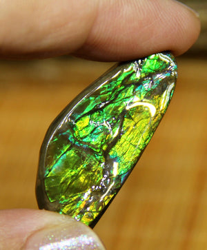 Freeform Natural Ammolite Loose Gemstone #A323