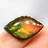 Freeform Ammolite Gemstone #A142