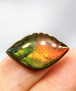 Freeform Ammolite Gemstone #A142