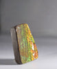 Top Grade Ammolite Display Stone #891