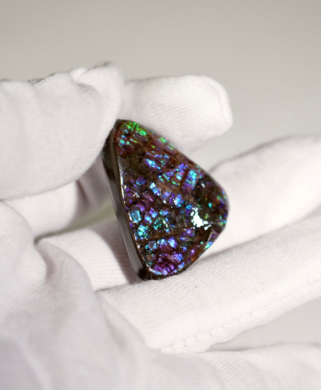 Freeform Natural Ammolite Loose Gemstone #A210