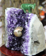 AAA Semi-Geode Amethyst Cluster #858