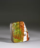 Top Grade Ammolite Display Stone #891