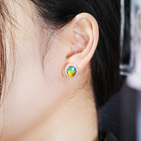 AMMOLITE EARRINGS #319