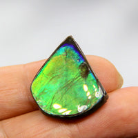 Freeform Ammolite Gemstone #A143