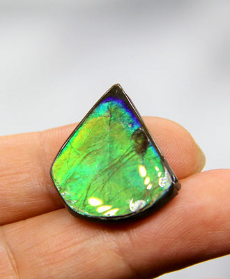 Freeform Ammolite Gemstone #A143