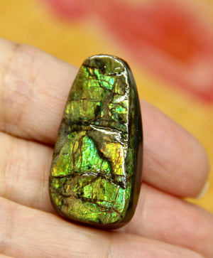 Freeform Natural Ammolite Loose Gemstone #A308