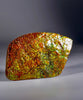 Polished Ammolite Display Stone #567