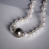 Akoya & Tahitian Saltwater Pearl Necklace #537