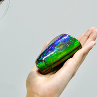 POLISHED AMMOLITE STONE #396