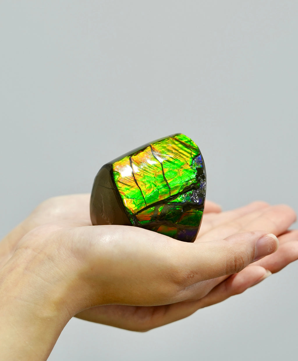 POLISHED AMMOLITE STONE #392