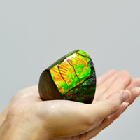 POLISHED AMMOLITE STONE #392