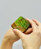 Top Grade Ammolite Display Stone #891