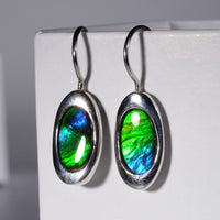 Ammolite Earrings #103