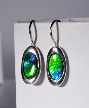 Ammolite Earrings #103