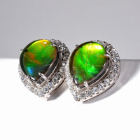 AMMOLITE TRIPLET EARRINGS #315