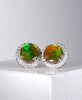 AMMOLITE EARRINGS #303