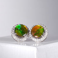 AMMOLITE EARRINGS #303