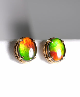 18K Ammolite Earrings #912