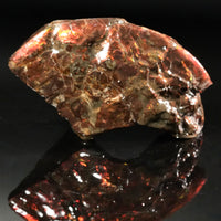 Polished Ammolite Stone #2543