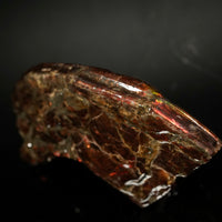 Polished Ammolite Stone #2543