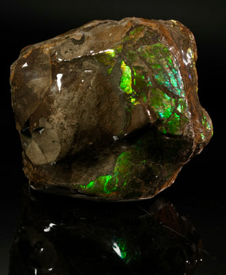 Polished Ammolite Stone #2545