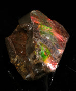 Polished Ammolite Stone #2549