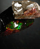 Polished Ammolite Stone #2549