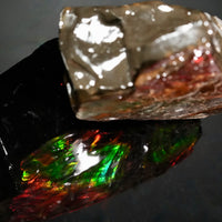 Polished Ammolite Stone #2549