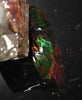 Polished Ammolite Stone #2549