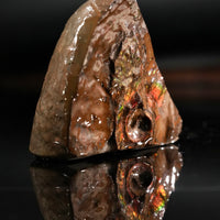 Polished Ammolite Stone #2551