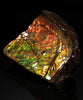 Polished Ammolite Stone #2550