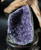 Amethyst Semi-Geode Base Cut (0.83 LB) #2600