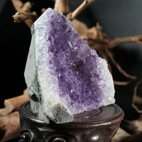 Amethyst Semi-Geode Base Cut (0.88 LB) #2601