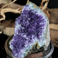 Amethyst Semi-Geode Base Cut (0.71 LB) #2607