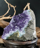 Amethyst Semi-Geode Base Cut (0.71 LB) #2607