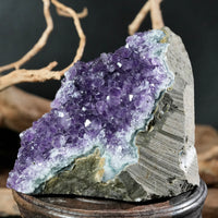 Amethyst Semi-Geode Base Cut (0.71 LB) #2607