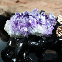 Super Extra Dark Amethyst Cluster (0.24 LB) #2609