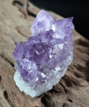 Amethyst Cluster (0.379 LB) #2610