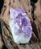 Amethyst Cluster (0.379 LB) #2610