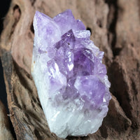 Amethyst Cluster (0.379 LB) #2610