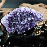 Super Extra Dark Amethyst Cluster (0.258 LB) #2620