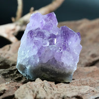 Amethyst Cluster (0.326 LB) #2611