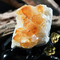 Citrine Display (0.35 LB) #2623