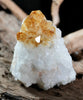 Citrine Display (0.66 LB) #2624