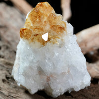 Citrine Display (0.66 LB) #2624