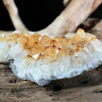 Citrine Display (0.3LB) #2626