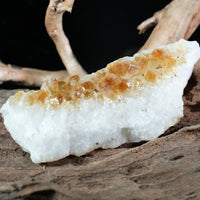 Citrine Display (0.44LB) #2625